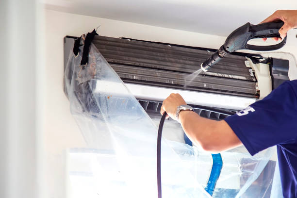 Best Air Duct Mold Removal  in Webberville, MI